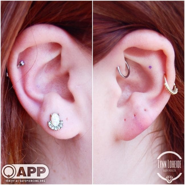 Curated Ear Piercings | Amato Fine Jewelry & Body Piercing
